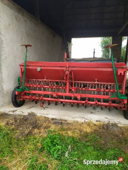 Siewnik pozniak wielkopolskie Koło