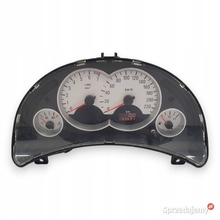 LICZNIK ZEGARY 13173357 WL Opel Corsa C 12 16V lubelskie Chełm