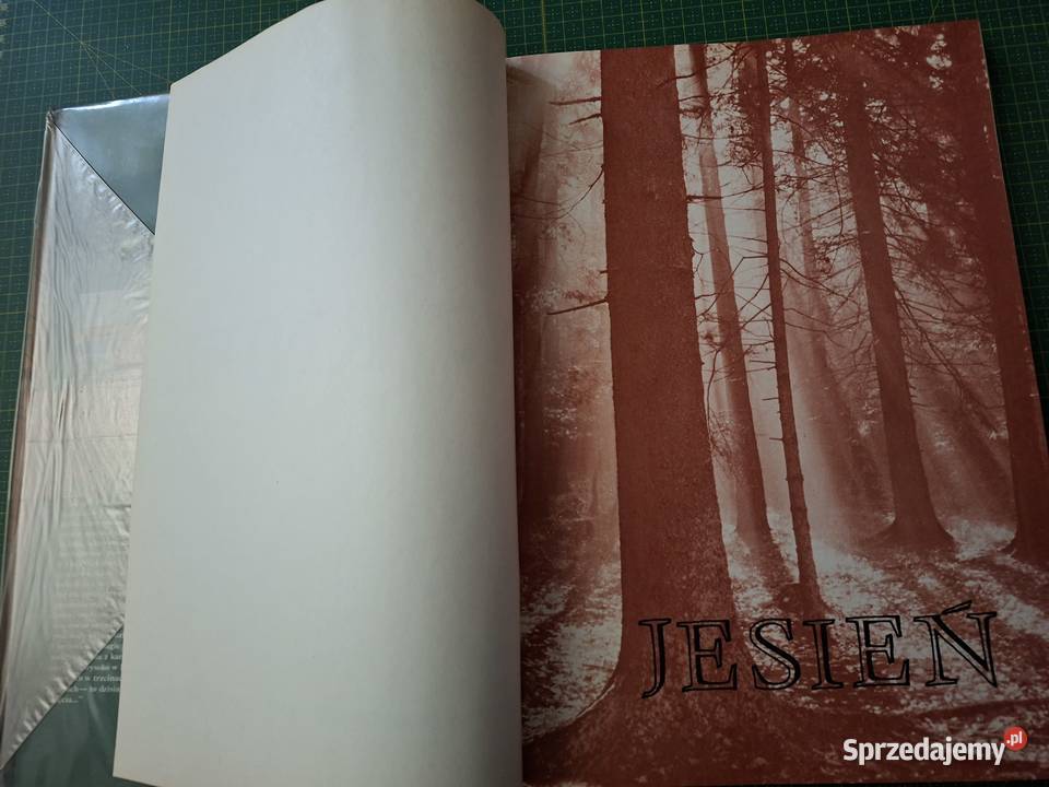 W kniei Włodzimierz Łapiński Kraków sprzedam