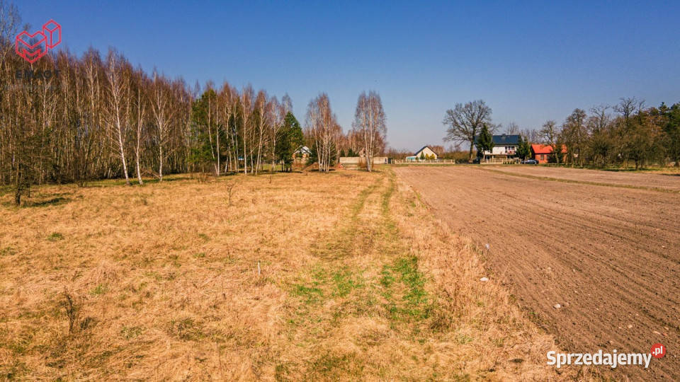 sprzedaży działki 1529m2 Mogilno 1529m2 sprzedam