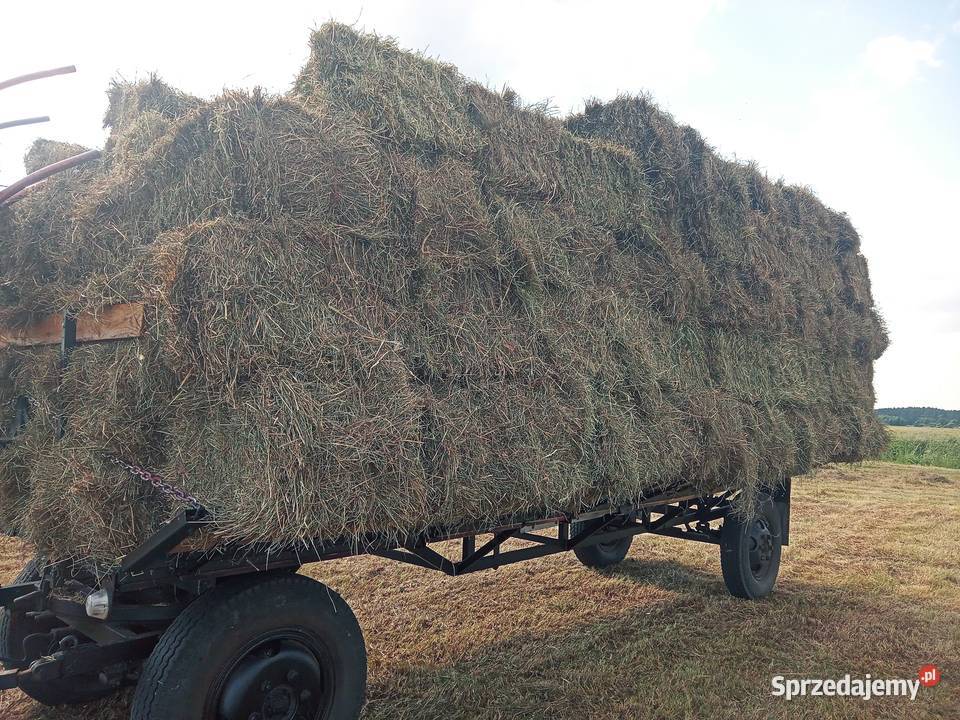 Siano kostka 1 2 pokos transport Ostrzeszów sprzedam