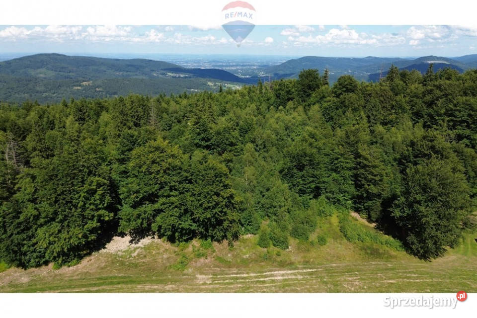 Działka na szczycie Magurki Wilkowickiej Wilkowice