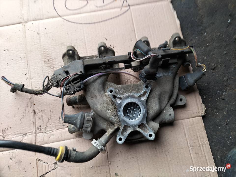 KOLEKTOR SSĄCY GOLF 3 IBIZA CORDOBA POLO 14 Kamień-Kolonia