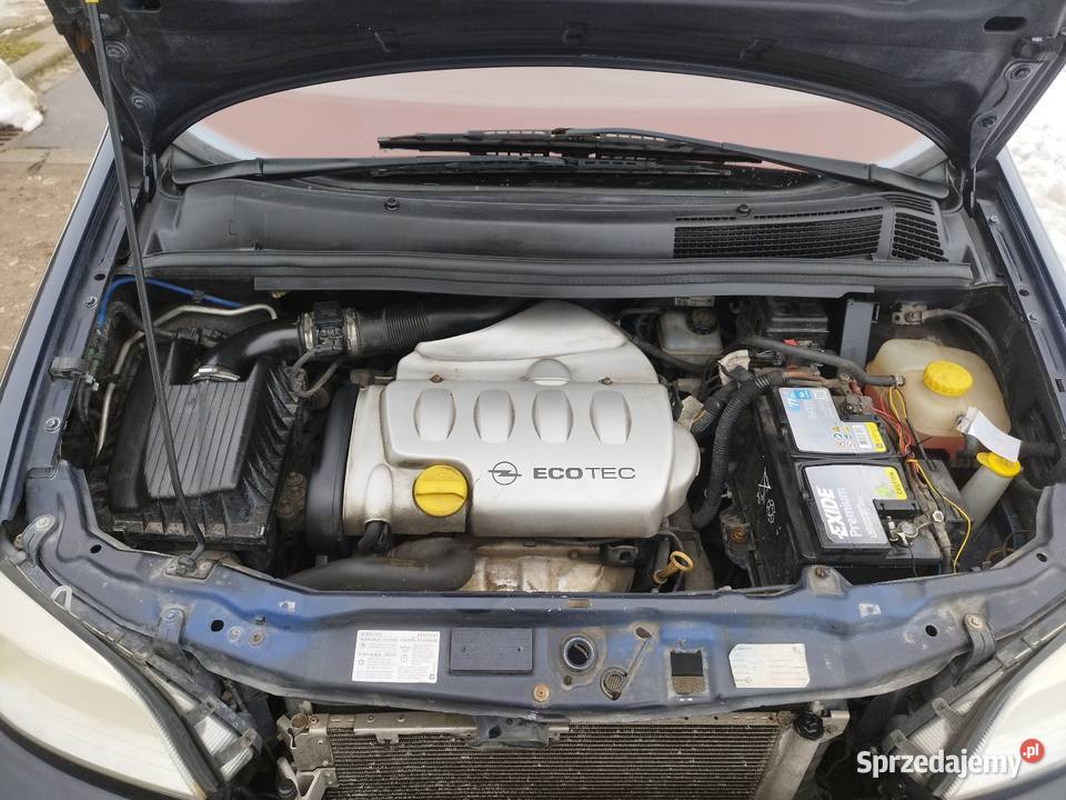 Ładny Opel Zafira 18 benzyna 2002 7 osobowy benzyna Jarocin