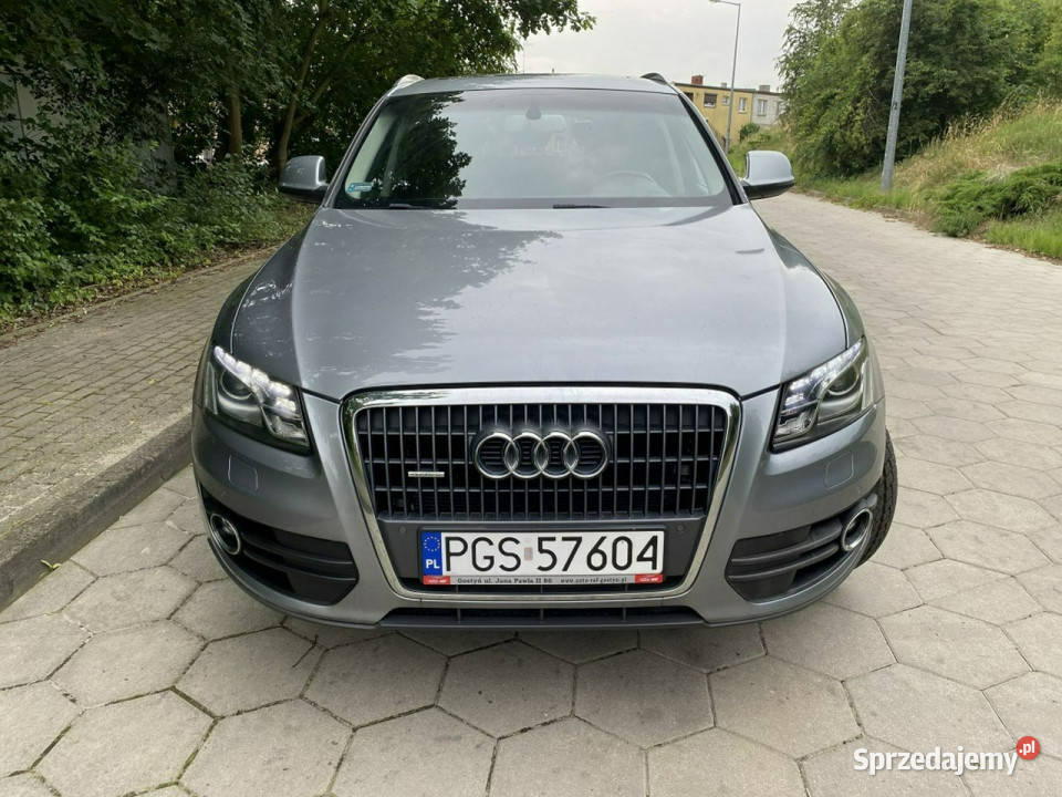 Audi Q5 Audi Q5 20TDI QUATTRO Klimatronic Mały SUV wielkopolskie