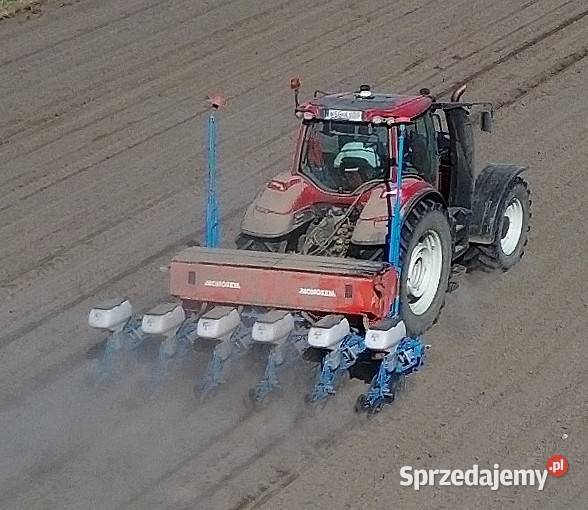 Usługa siewu kukurydzy Mochowo