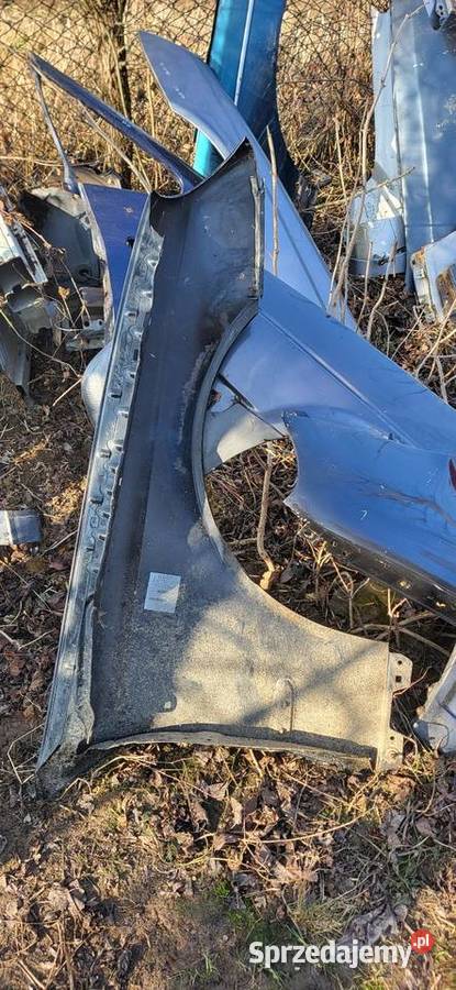 Błotnik Lewy Mercedes E Klasa W 211 Czarny Żabno