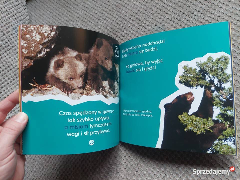 O gawrach czyli niedźwiedzich łóżkach Becky małopolskie