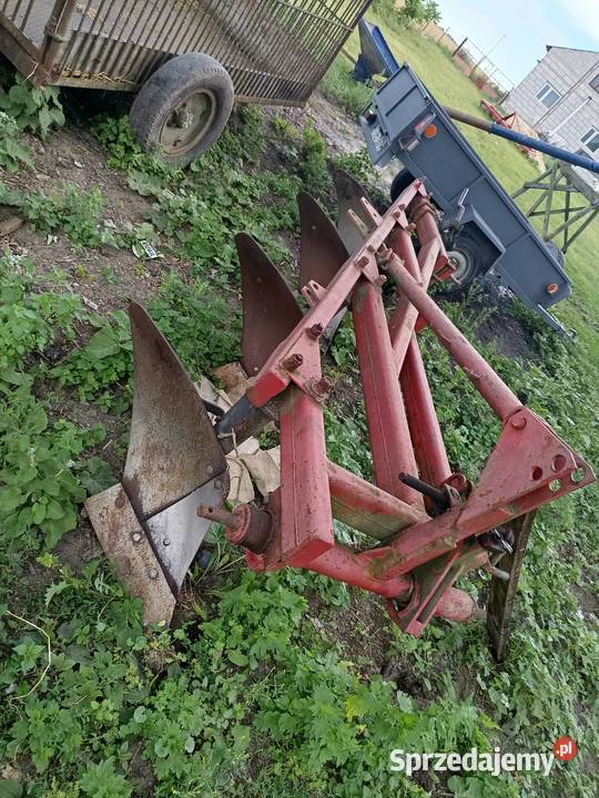 Pług 4 grudziądz świętokrzyskie Jędrzejów