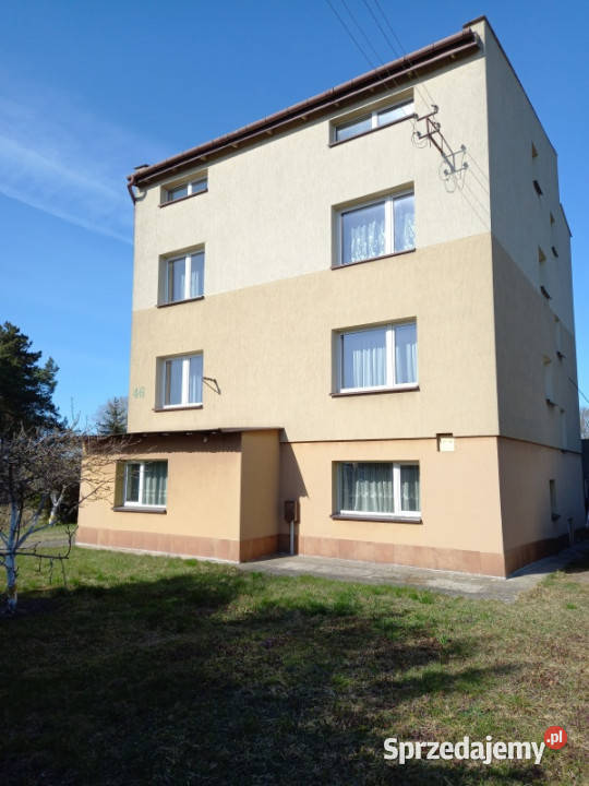 Dom z dużą działką 3 piętra i więcej Łomża sprzedam