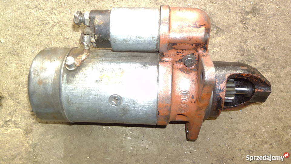 rozrusznik bizon Izbica