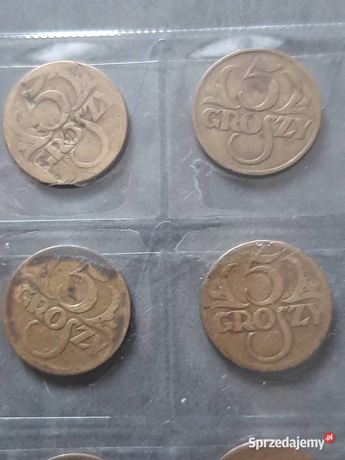5 Groszy Bielsko-Biała