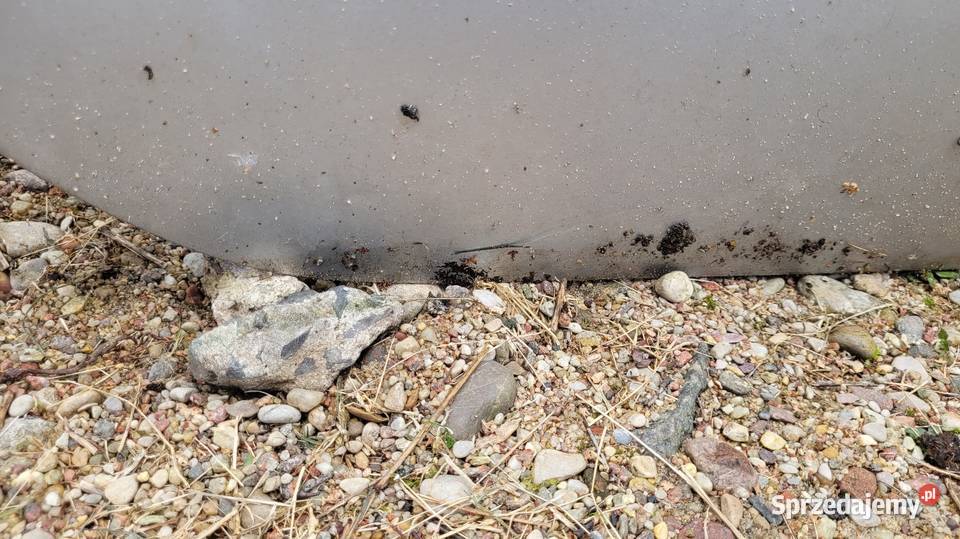 Drzwi Toyota Avensis t22