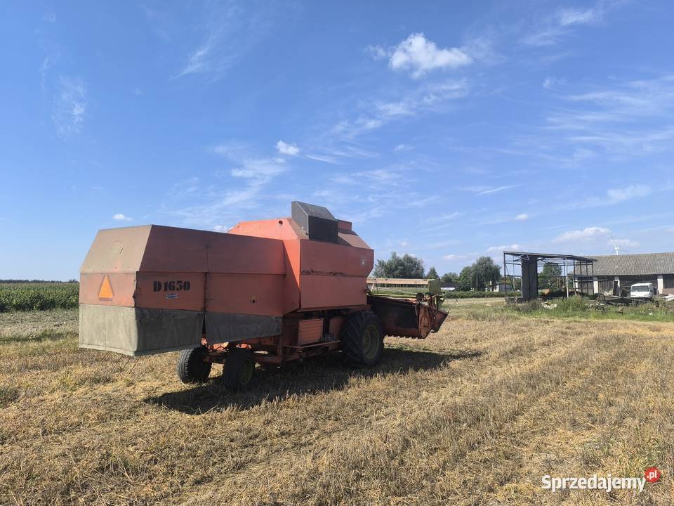 Dronningborg d1650 Rawa Mazowiecka