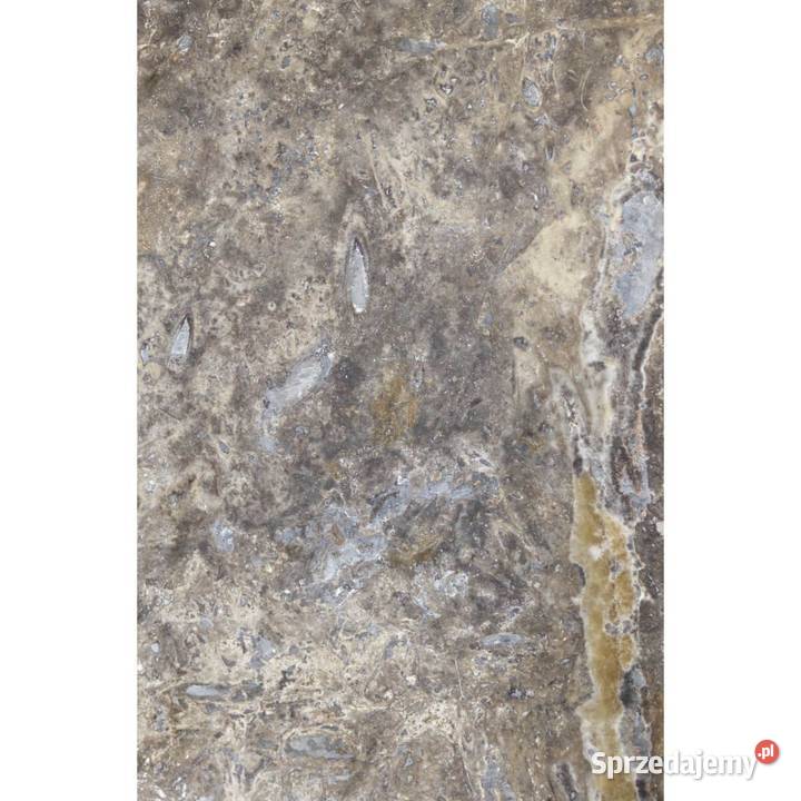 Płytki Trawertyn Silver Ash szlifowane i Gdynia