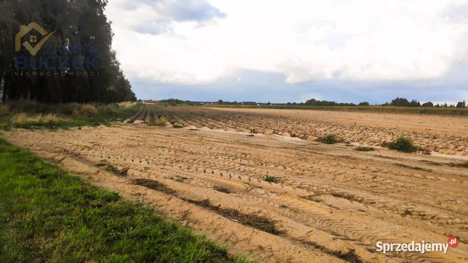 Sprzedam działki budowlane w miejscowości 2997m2 Leszno