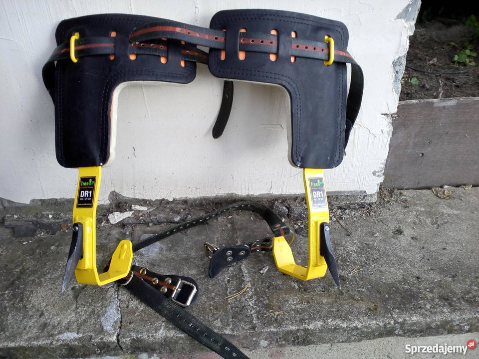 Drzewołazy wynajem mazowieckie Piskórka sprzedam