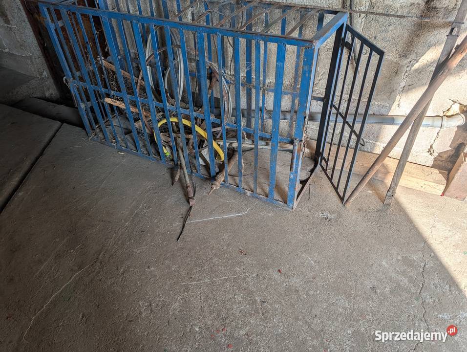 Klatka na świnie ciele Pozostałe Tarnawa