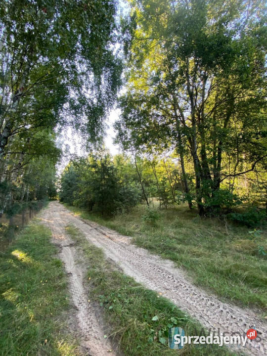 Grunt Niemianowice 1322 metry mazowieckie