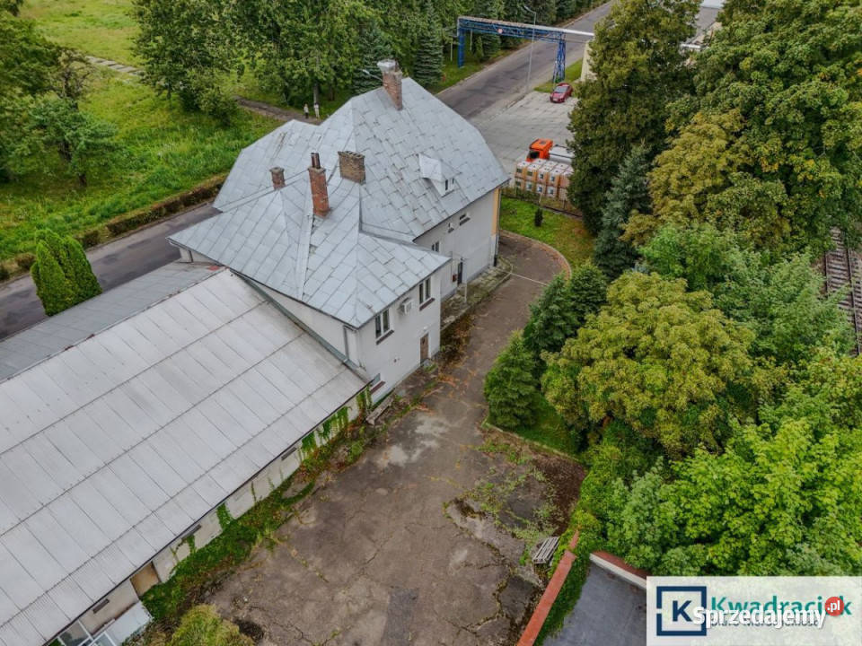 Lokal Jasło 3 Maja 487m2 Ilość pomieszczeń 10