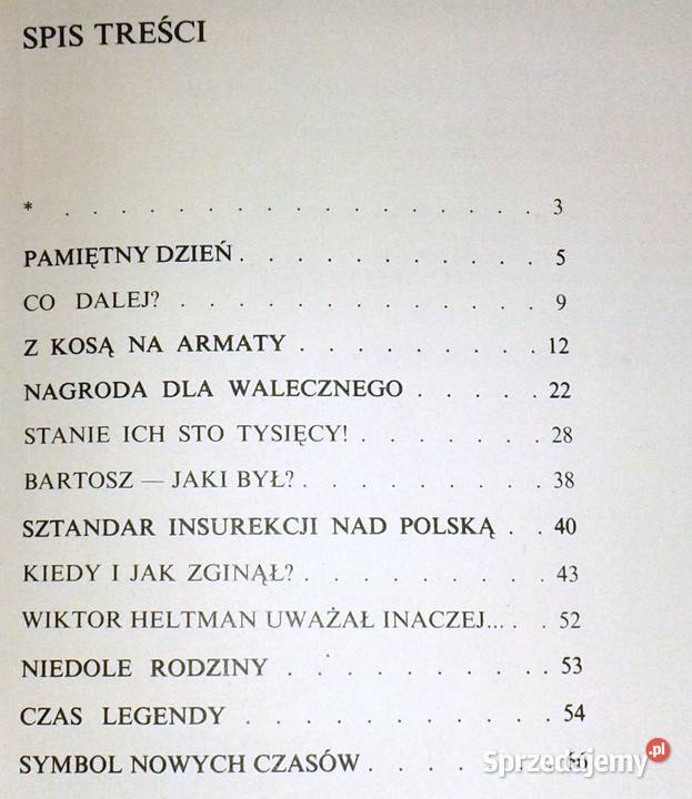 Bohater spod Racławic Marek Ruszczyc