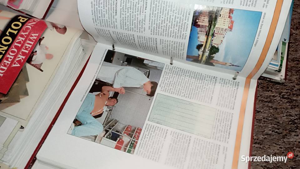 Wielka encyklopedia Polonika