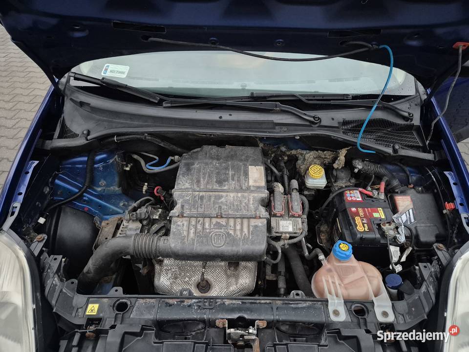 Fiat Punto12 benz 65 Wspomaganie City Nie zgnity Hatchback Bujaków