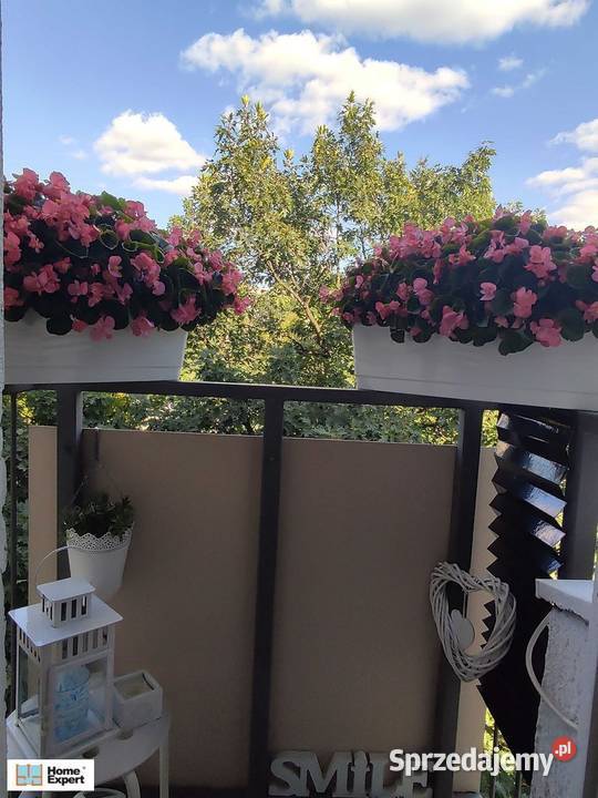 1pok 20met Sokolej BALKON Wrocław