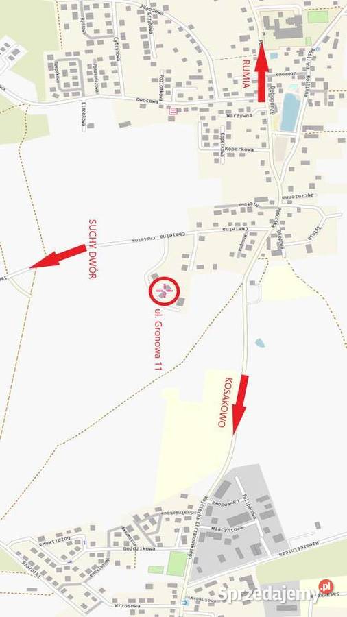 PIŁA UKOŚNICA wypożyczę Dębogórze