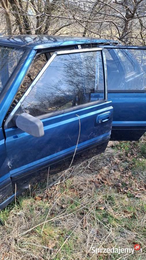 Polonez Caro PLUS śląskie Hutki