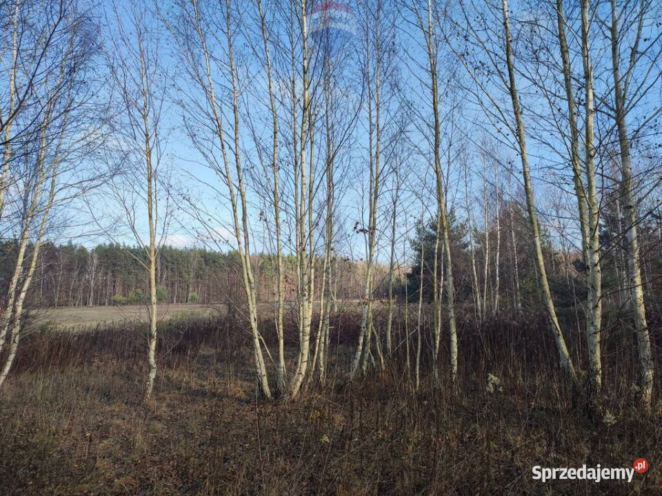 PISKÓRKA urokliwa działka w otoczeniu natury Piskórka