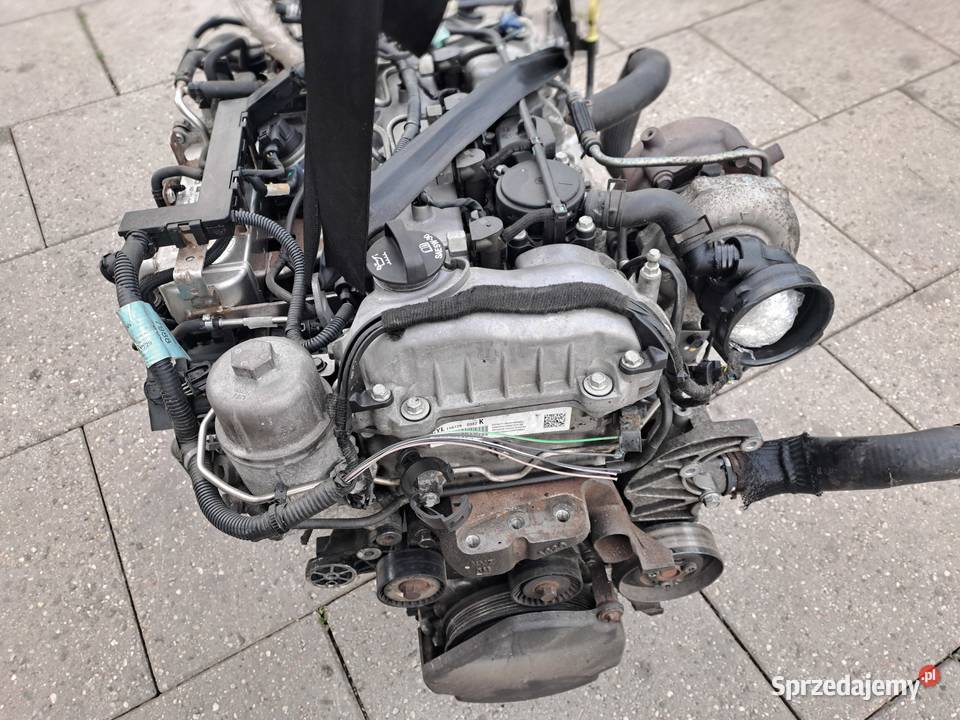 Chevrolet Cruze Captiva 20 VCDi 163 silnik Rok produkcji 2012 Jastrzębie-Zdrój