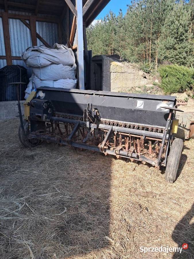 Poznaniak nieuszkodzony sprzedam