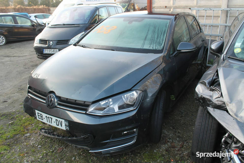 Volkswagen Golf VII 2012 Golf Golf Ostrów Wielkopolski sprzedam