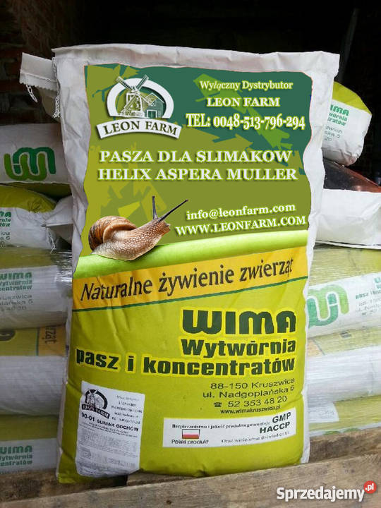 Pasza ślimaków Helix Aspersa Muller Dzierzgoń
