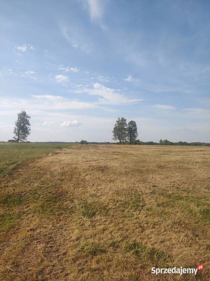 Działka z Potencjałem Rzeka Narew 8400m2 Targonie Wielkie sprzedam