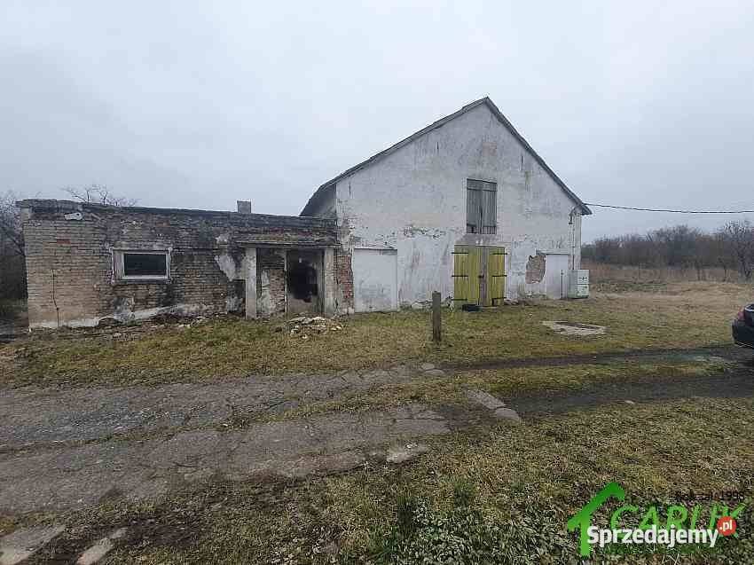 Lokal Wolin Sprzedaż