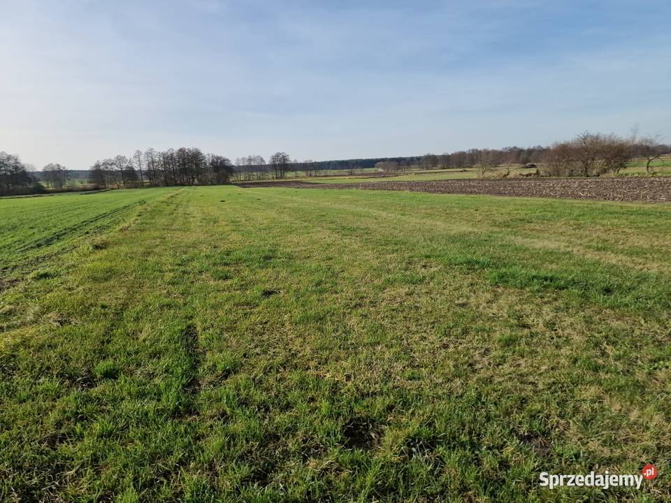Działki rolne klasy IVV Biskupice gm Grodziec Biskupie