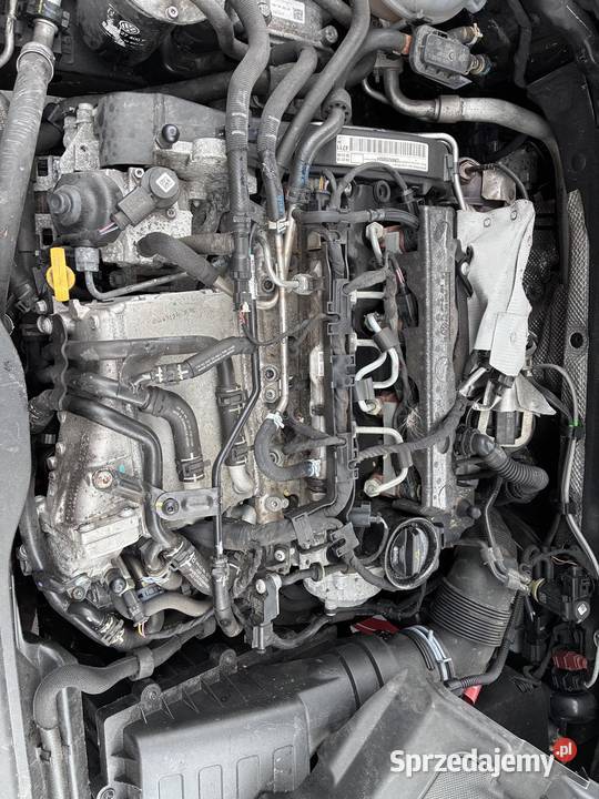 Skoda Octavia III 15r 20 tdi CRM 15r CZĘŚCI Włodawa