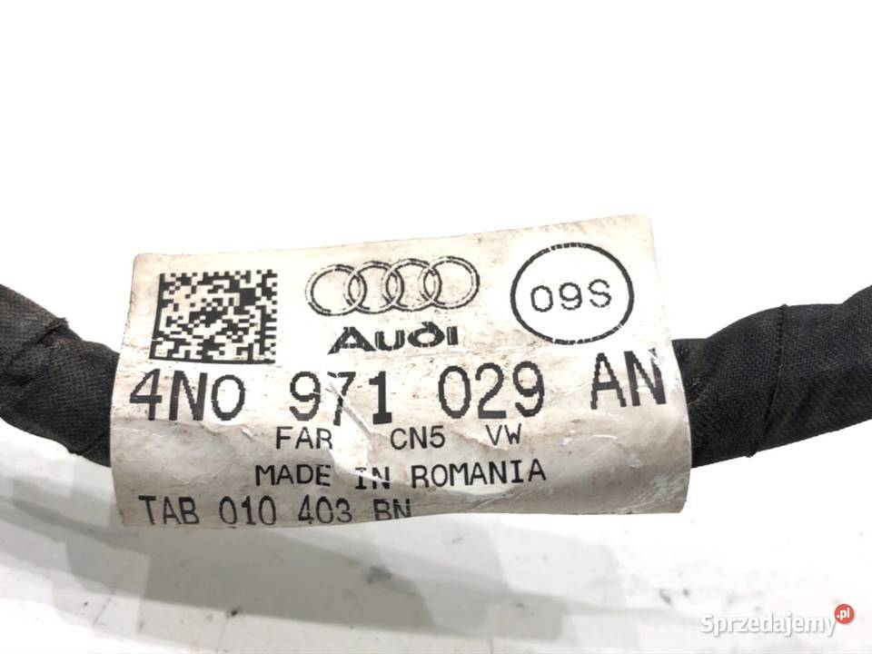 WIĄZKA DRZWI PRZÓD LEWY AUDI A8 D5 4N0971029AN