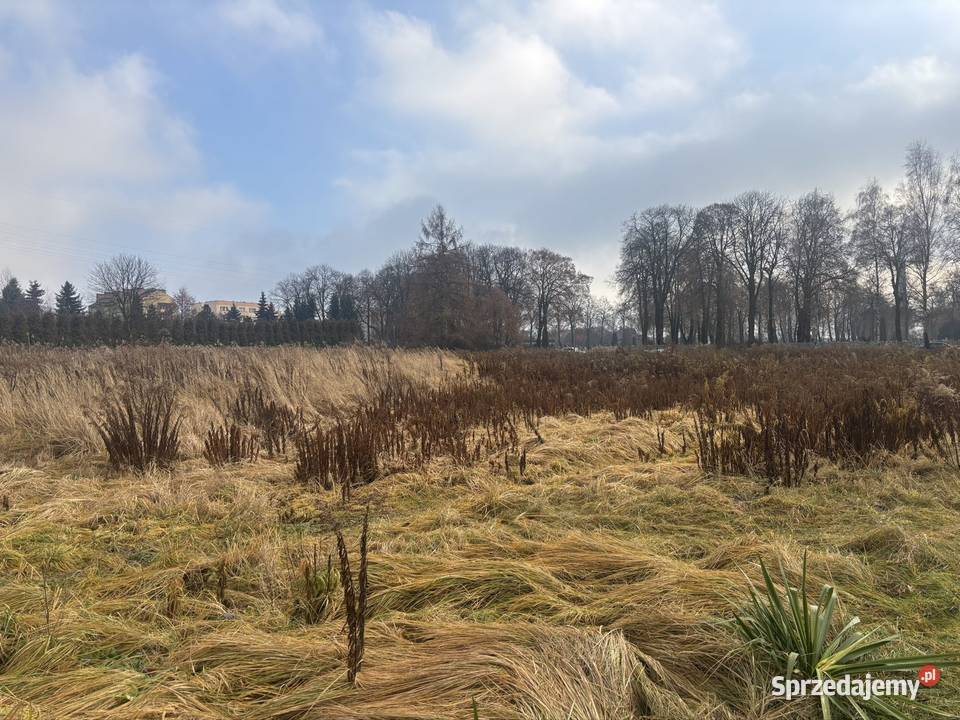 Siemianowice Śl działka budowlana