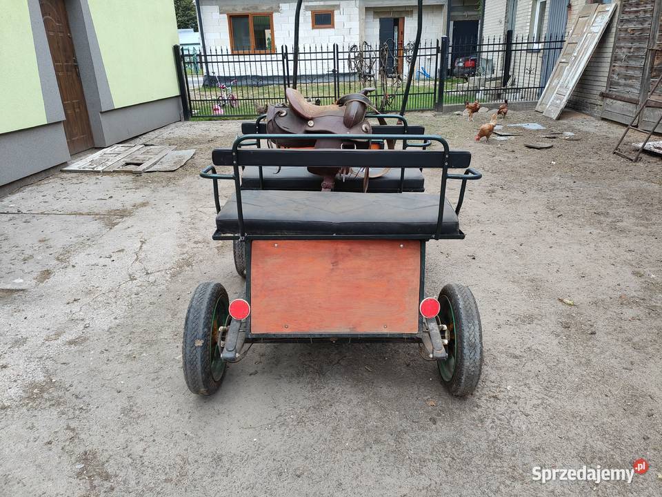 Bryczką jednego dwóch kucyków lubelskie Łomazy