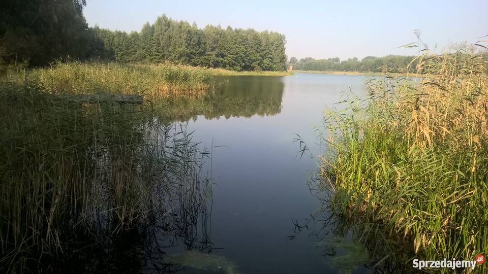 Działka z linią brzegową 1800 m2 Słup