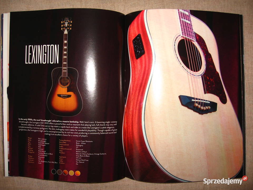 DAngelico 2016 katalog gitar Kępice sprzedam