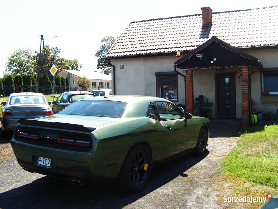 Dodge Challenger 36 GT 2019 r automat komputer pokładowy Motoryzacja wielkopolskie Września