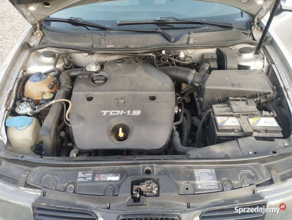 Seat Leon 19tdimapagwintprzelot Sokołów Małopolski