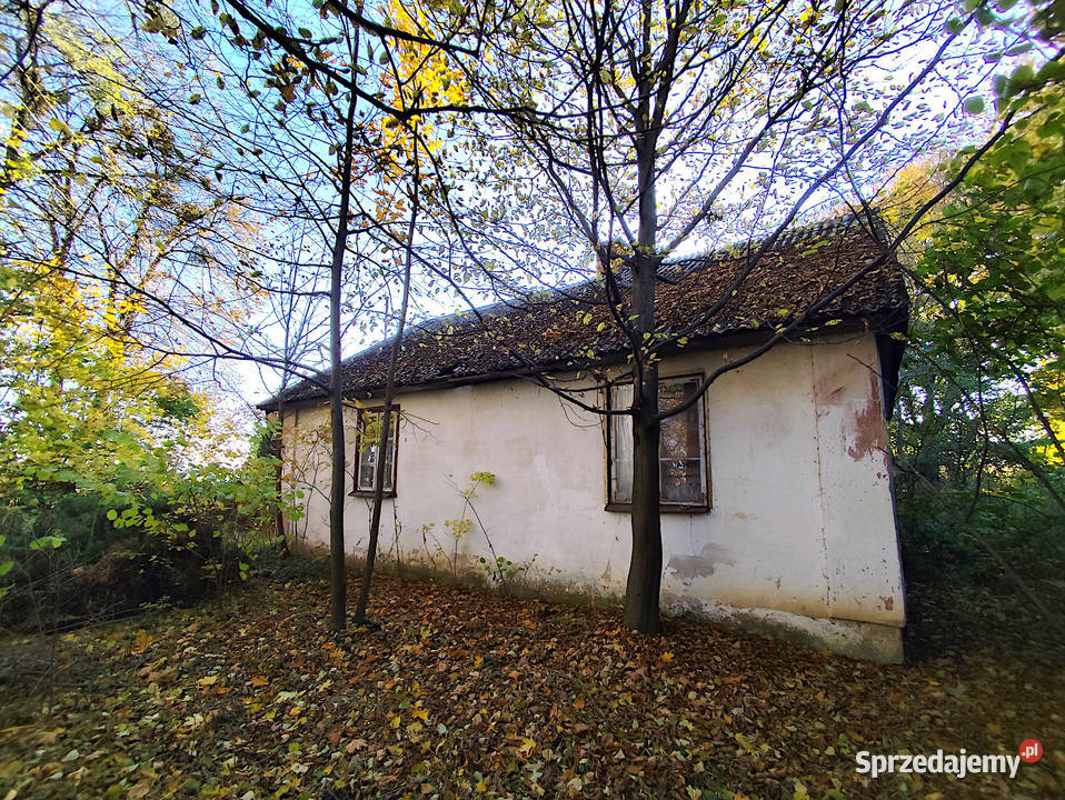Sprzedam siedlisko w gminie Garbów lubelskie