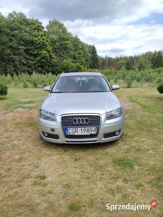 Audi A3 8P Sportack 19 tdi klimatyzacja A3 Wielki Wełcz