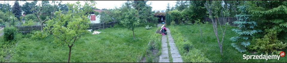 Ogródek działkowy ROD Pilczyce Hutnicza Wrocław