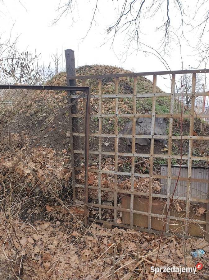 Oddam gruz bonus odbiór Strzegom